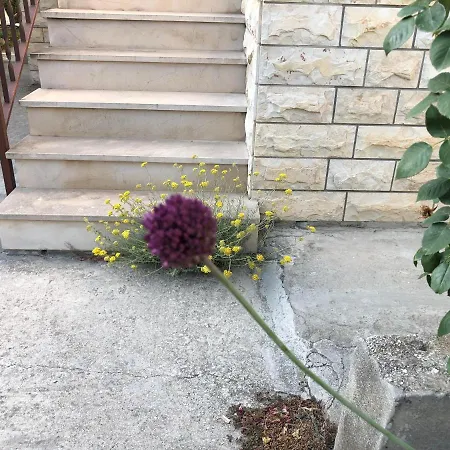 아파트 Garden