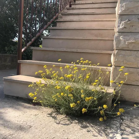 Apartman Garden *