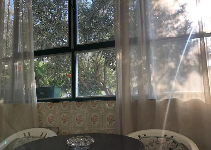 Apartment Garden Split