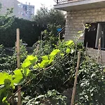 Garden سبليت