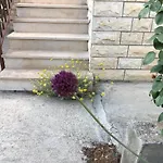 شقة Garden